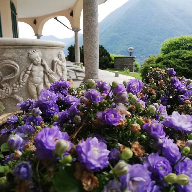 Oženio se 'vatreni' Petar Sučić! Pogledajte bajkovite prizore