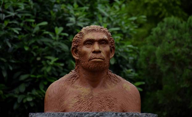 Ako vas ovo zabavlja, moguće je da ste ekstremno inteligentni