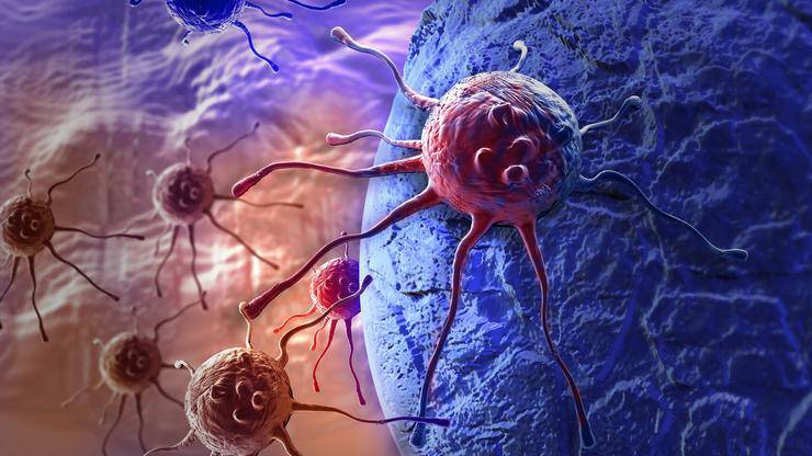 Naši znanstvenici otkrili novi mehanizam za borbu s rakom