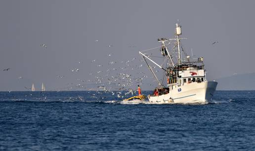 Za oporavak zaliha ribe treba zaštititi 30 posto Mediterana