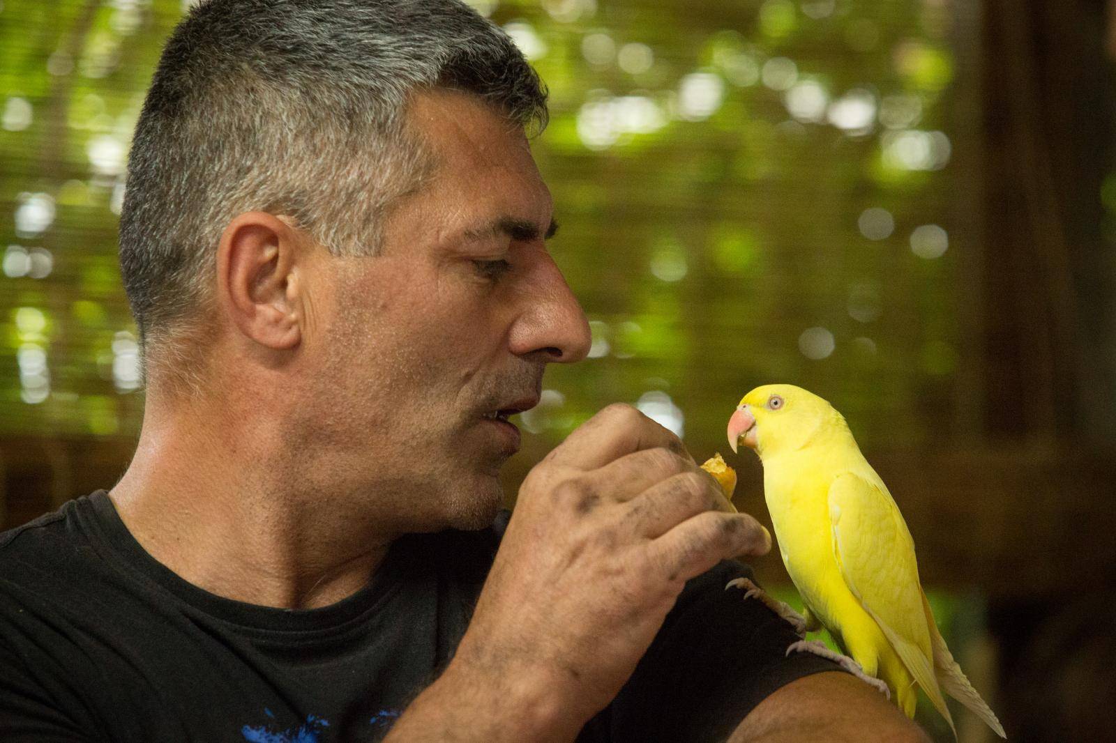 Papiga se vratila kući: 'Sad me zezaju da navija za Cibaliju...'