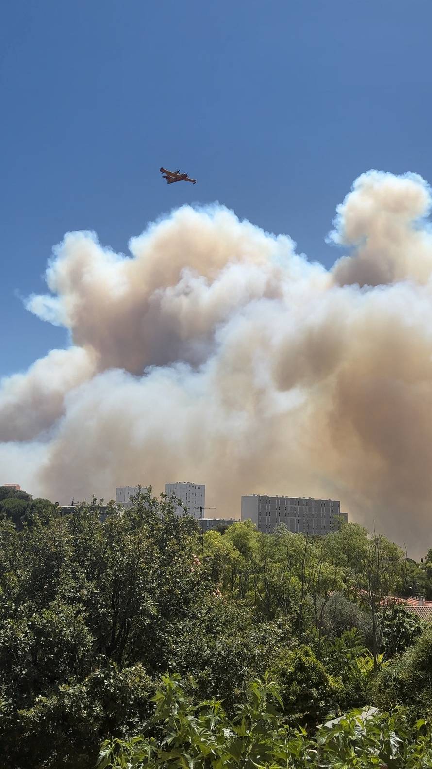 Wildfire in Marseille