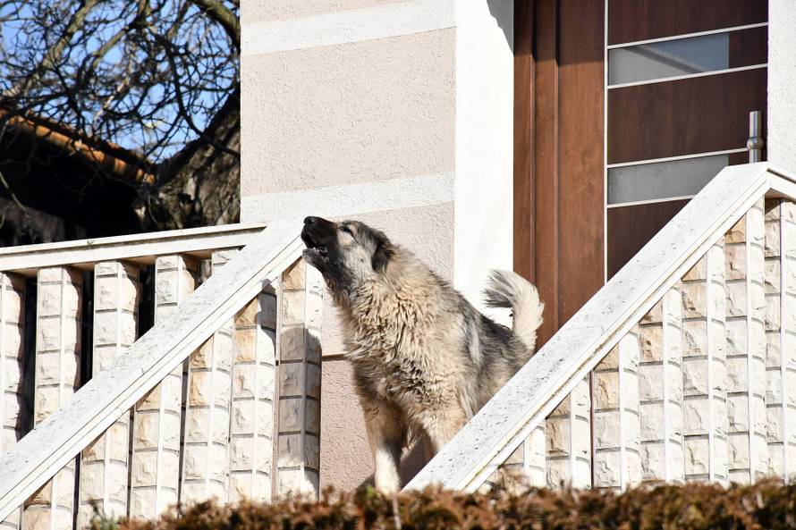 Sašu je kći (14) trovala, a žena uz pomoć ljubavnika ubila: 'Ne znam gdje im je pamet bila...'