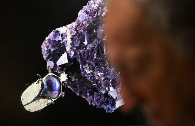 Zagreb: Otvorenje izložbe  Savršenstvo evolucije – Razotkrivanje