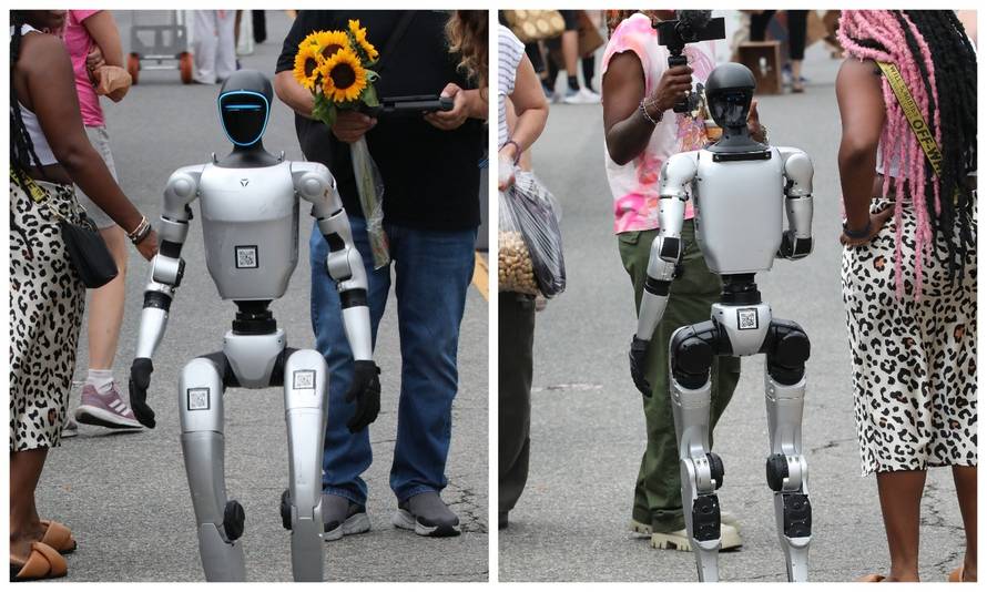 Stari, idemo vidjeti kaj ima na Dolcu. Kažu da su mandarine najbolje za čipove...