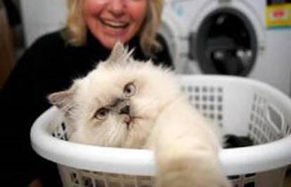 Maca Kimba preživjela 30 minuta u perilici rublja