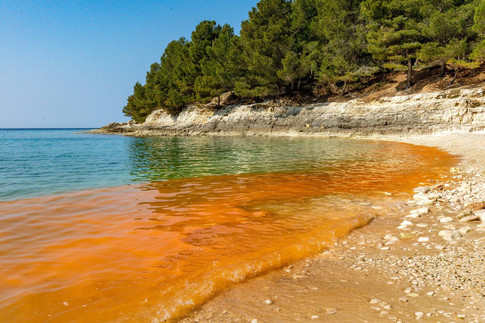 Cvjetanje mora na pojedinim pulskim plažama