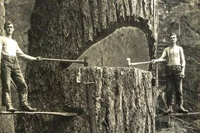 Čudesne fotografije: 12 rijetko viđenih prizora iz 20. stoljeća