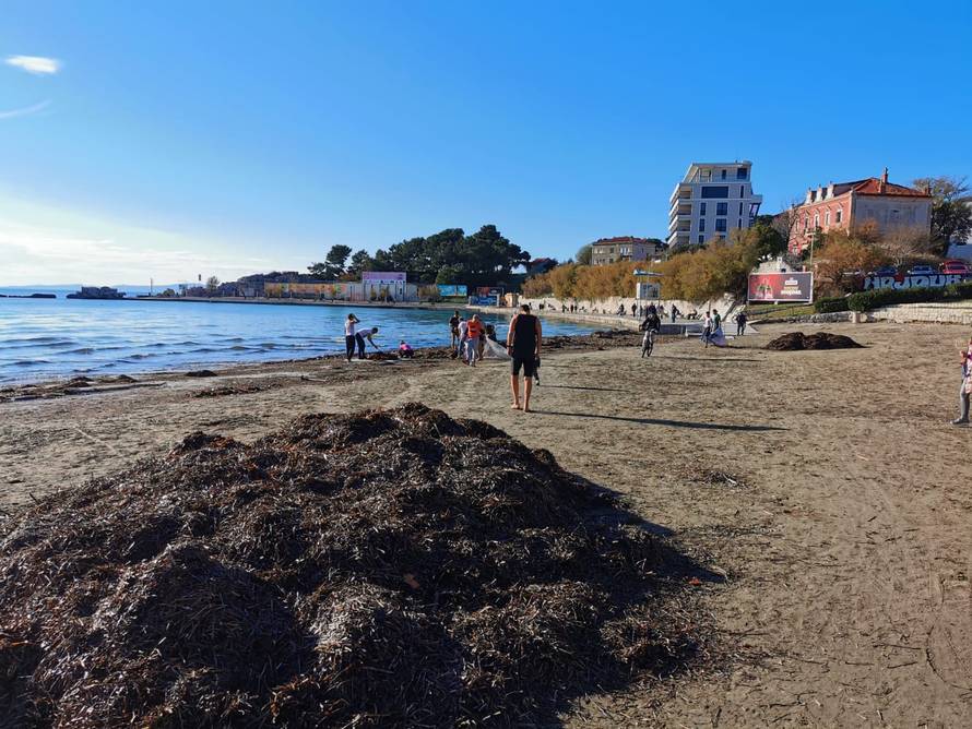 Eko udruga čistila plažu Bačvice, koncesionar prijetio policijom: 'Ne mogu oni tu raditi što hoće'