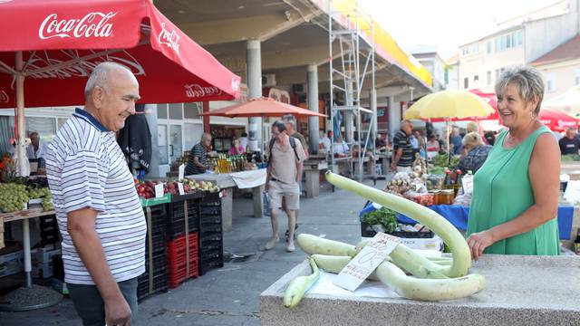 Sicilijanska tikvica privlači pažnju kupaca na šibenskoj tržnici