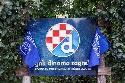 Zagrebački ZOO organizirao lavlju prognozu rezulatata utakmice Dinamo - West Ham