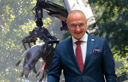 Trebat će spaliti 11.600 svinja. Evo koliko će love za to dobiti tvrtka ministra Grlića Radmana
