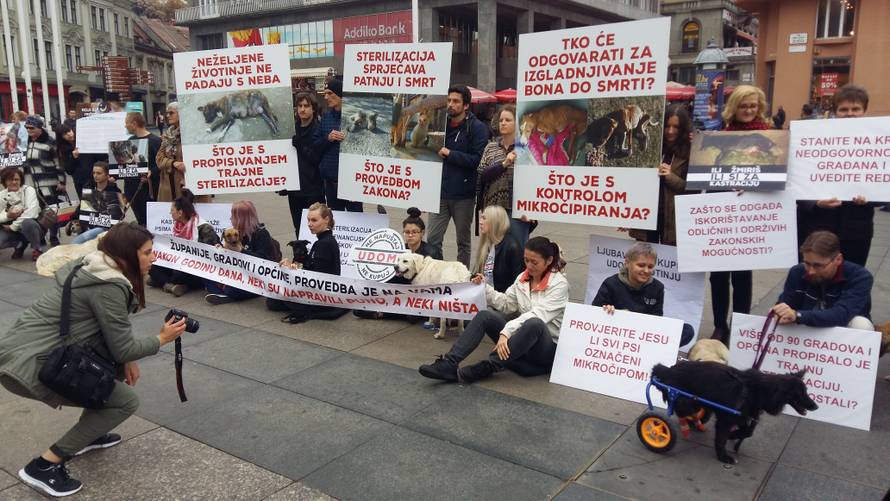 'Srce me boli kada vidim koliko životinja luta našim gradom...'