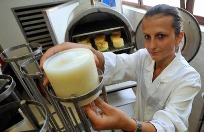 Mladi poduzetnici: Učenici sami rade sir, vino, ocat..