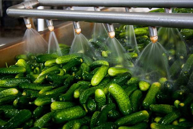 Working,Process,Of,The,Production,Of,Cucumbers,On,Cannery.,Washing