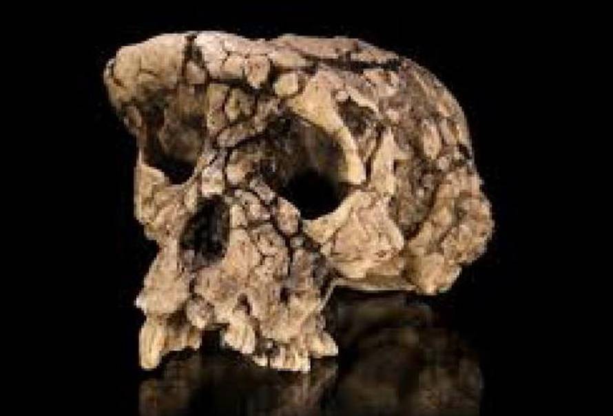 Znanstvenici u šoku: Afričkog pračovjeka pronašli u Izraelu...