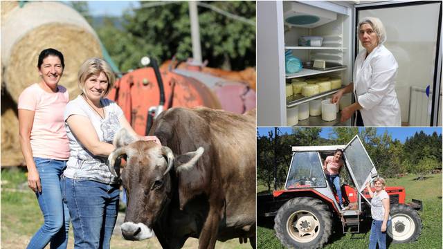 Nastavile su bakin posao i vode farmu staru 60 godina: Grad nije opcija, volimo naše kravice