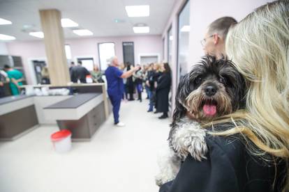 Split: Otvara se veterinarska bolnica za pse i mačke