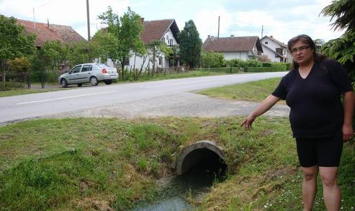 Bijesna lisica držala ih je zarobljene u kući satima