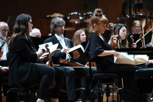 AUDIO Žena je doživjela glasni orgazam, orkestar je prestao svirati?: 'Svi su se okrenuli...'