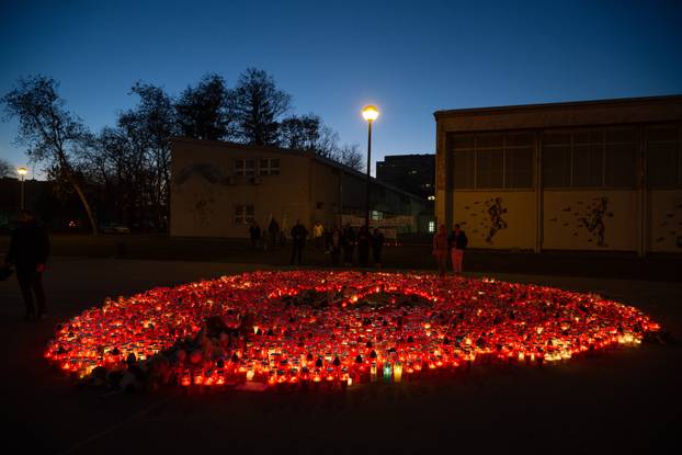 FOTO Lanci i lisice. Ovako su ubojicu iz Prečkog doveli na sud
