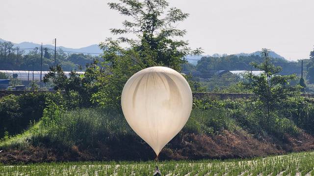 A balloon believed to have been sent by North Korea, carrying various objects including what appeared to be trash and excrement, is seen over a rice field at Cheorwon