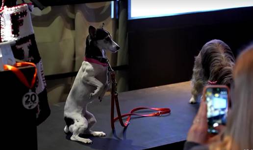 VIDEO Zaboravite Oscare. Pse&cacute;im zvijezdama iz filmova dodijelili nagrade: Vau, vau!