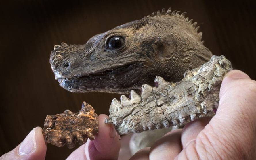 University of Nebraska