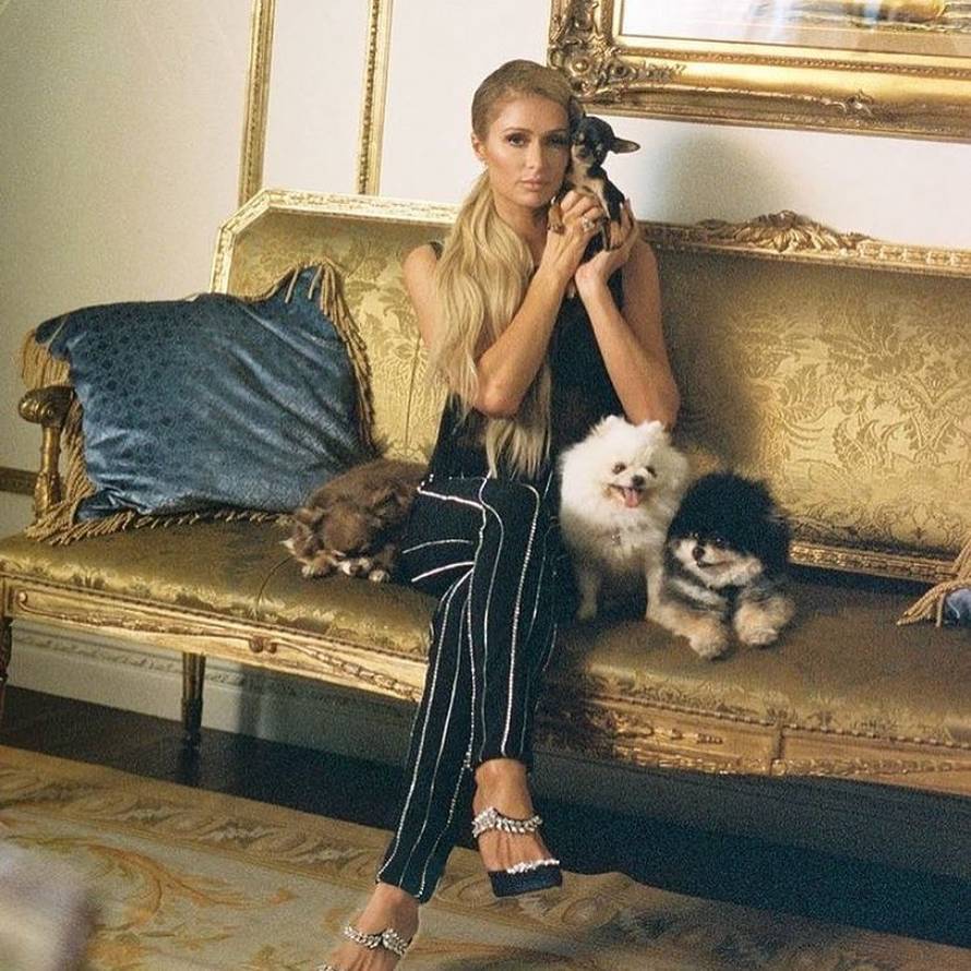 Paris Hilton izgubila je psa, angažirala je detektiva za kućne ljubimce i nudi veliku nagradu