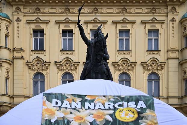 Zagreb: Obilježavanje jubilarnog 30. Dana narcisa