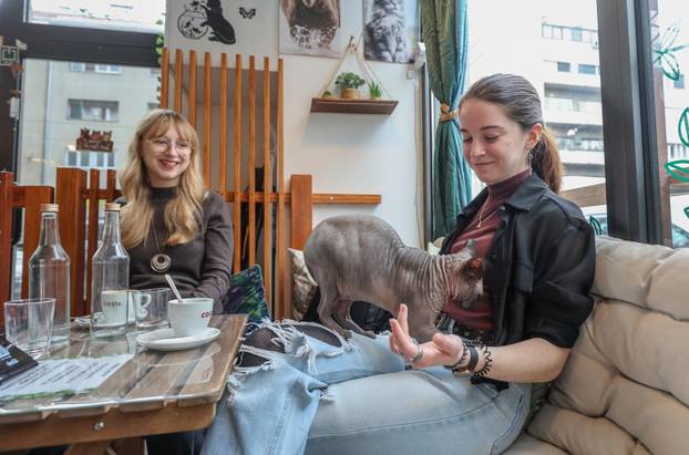 Zagreb: Emilija i Amer Alaydi otvorili su kafić Animal caffe
