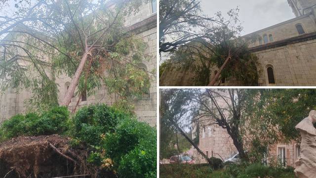 FOTO Olujno nevrijeme pogodilo Brač: 'Stablo je palo na crkvu'; Vatrogasci: Na terenu sve ekipe