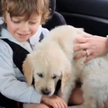 Dirljiv video: Dječaka kojim ima autizam tata razveselio psićem