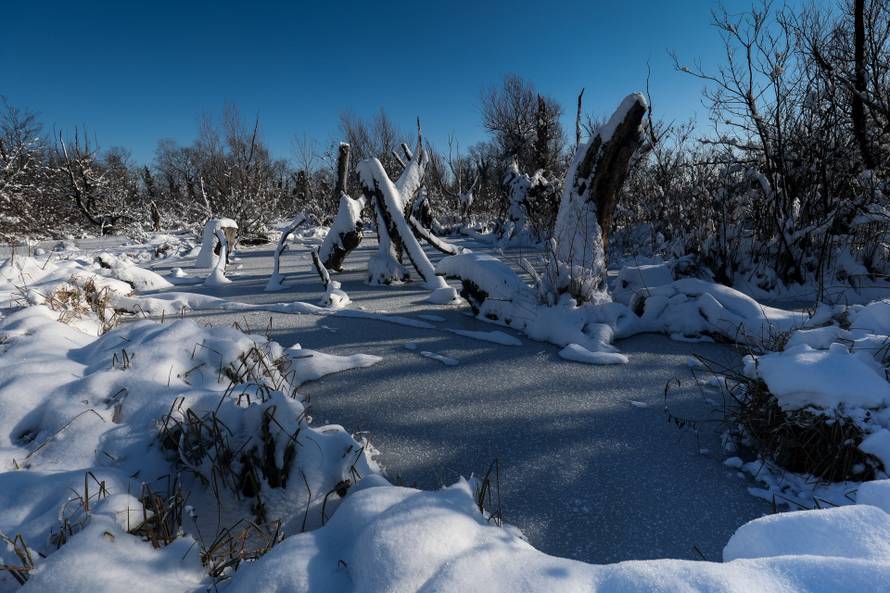 Zagreb: Zimska idila na jezerima Savica