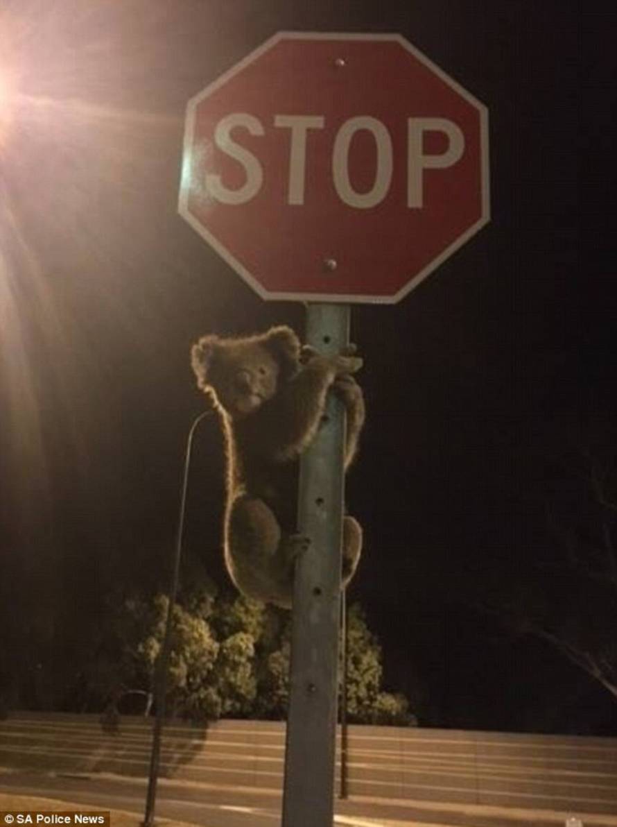 SA Police News