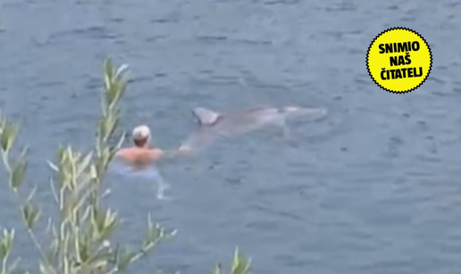 VIDEO Nevjerojatna snimka kraj Zadra! 'Igrao sam se s dupinom. Nje&zcaron;no me dotaknuo...'