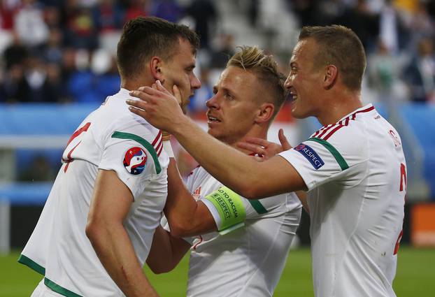 Austria v Hungary - EURO 2016 - Group F
