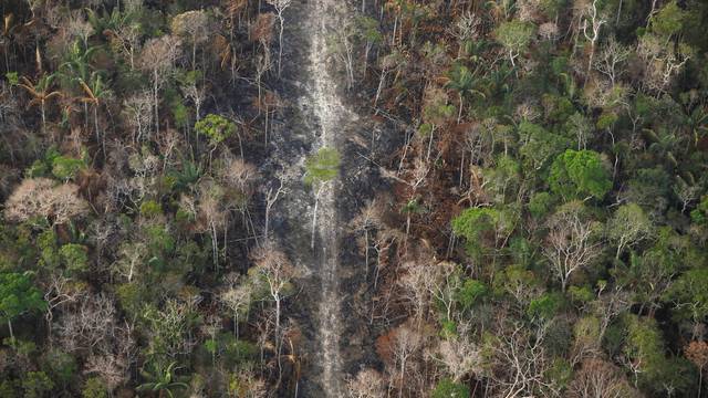 Brazil gubi 10.000 četvornih kilometara prašuma godišnje