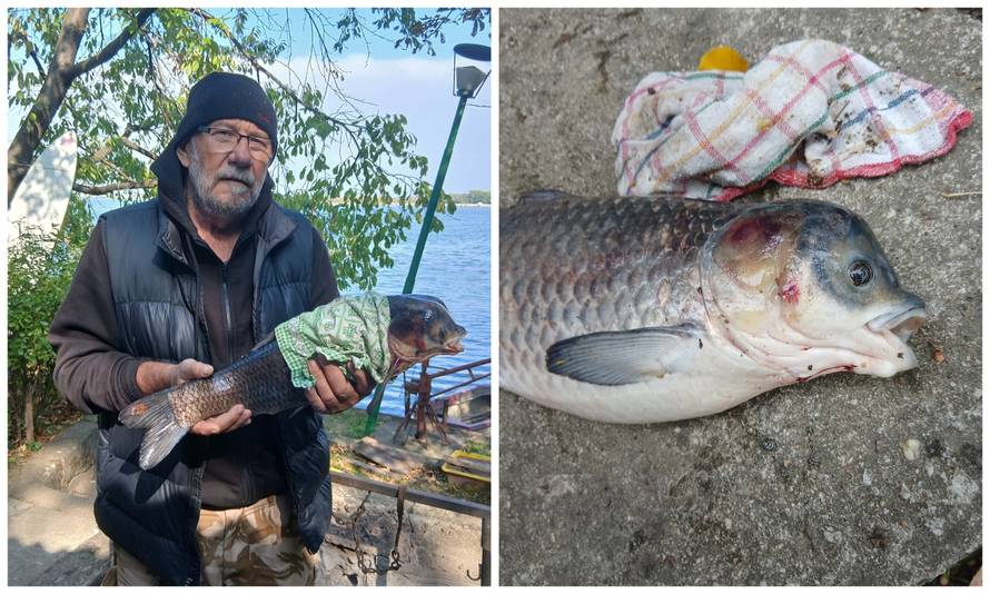 Misterij iz Dunava: Ribič ulovio 'mutanta', društvene mreže gore od nagađanja