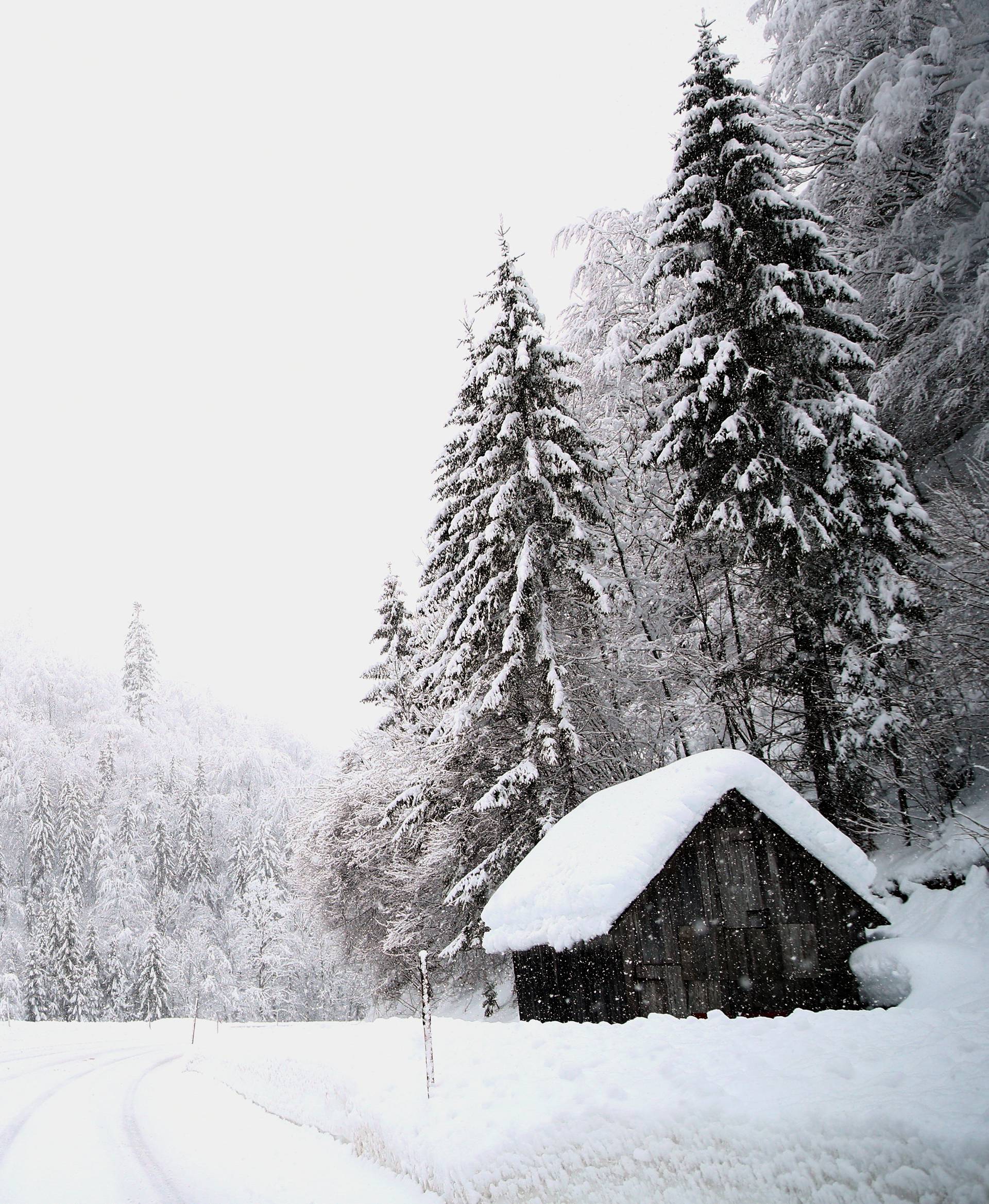 A house is seen near a road during heavy snowfall in Goestling