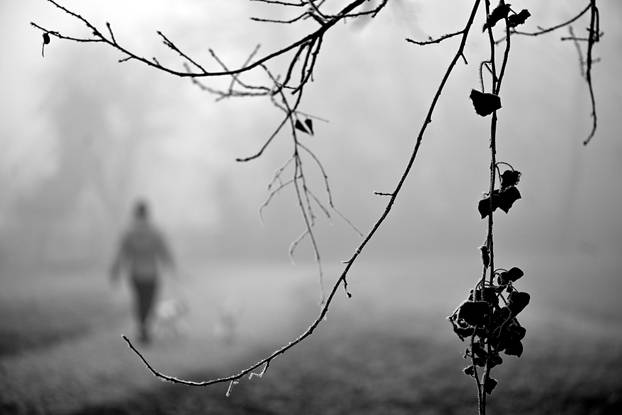 Zagreb: Gusta magla sakrila boje parka Maksimir