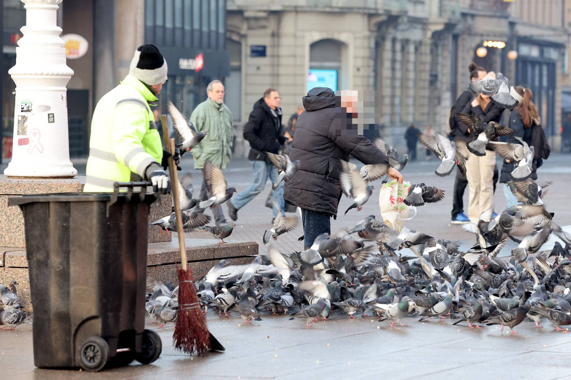 ANKETA Treba li zabraniti hranjenje golubova u gradu?