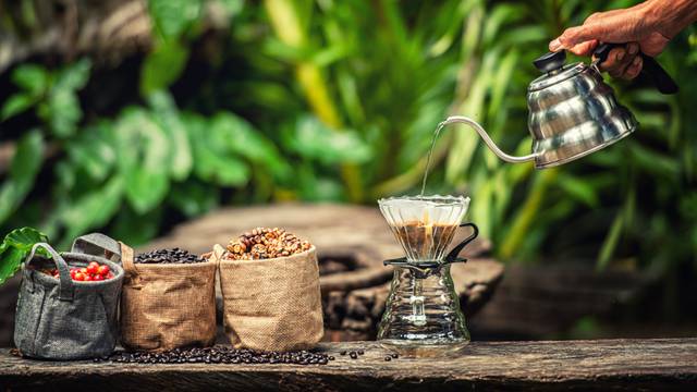 Robusta,,Arabica,,Coffee,Berries,,Coffee,Beans.,Top,View,With,Copy