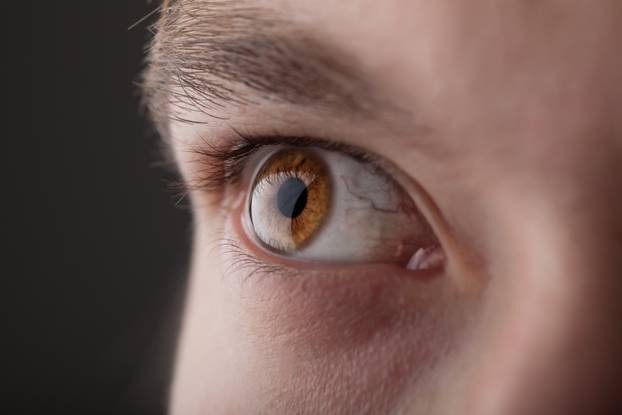 Portrait of a handsome man close up eye