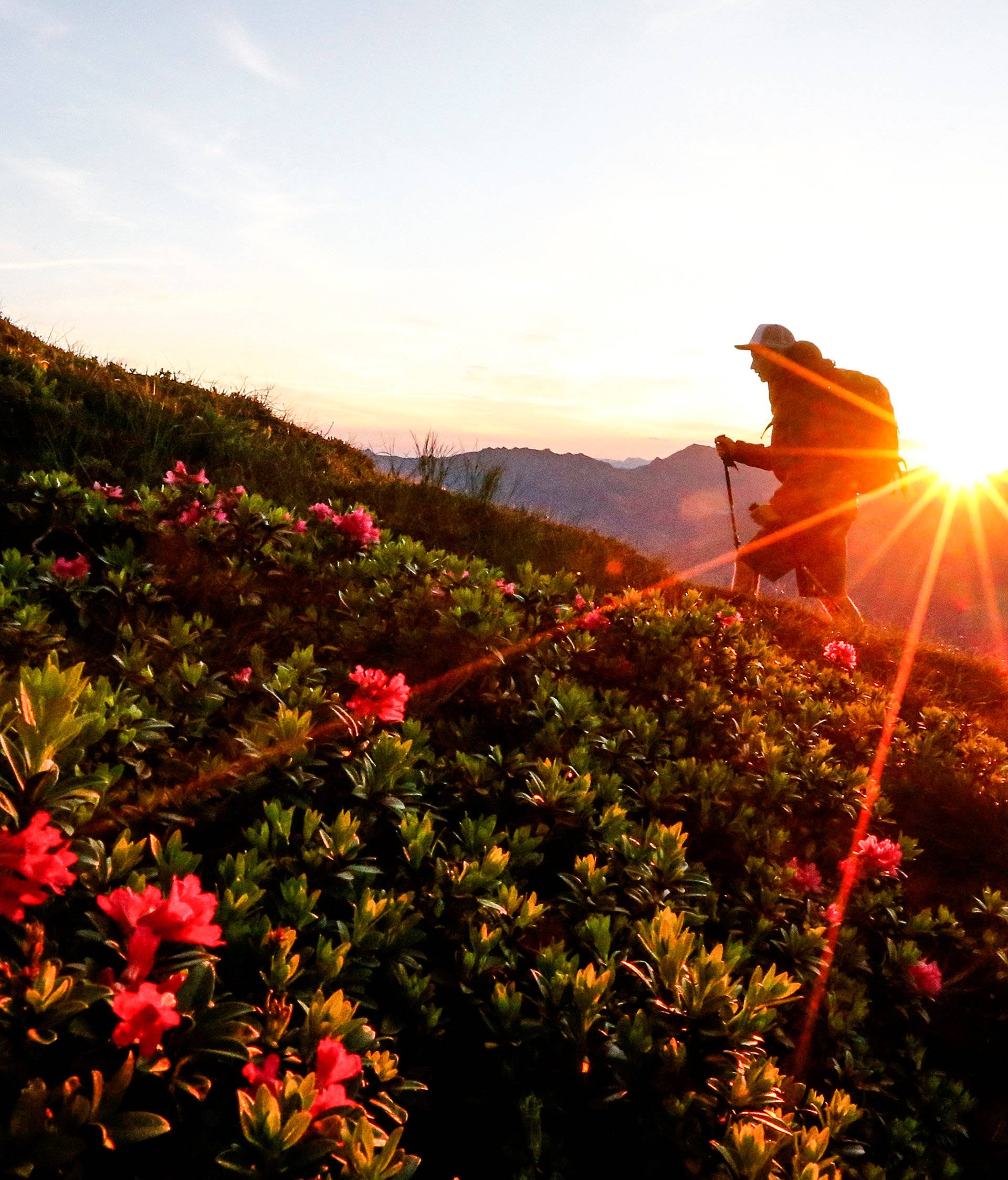 A couple hikes during sunrise on Kreuzjoch mountain in the Zillertal Alps in Schwendau