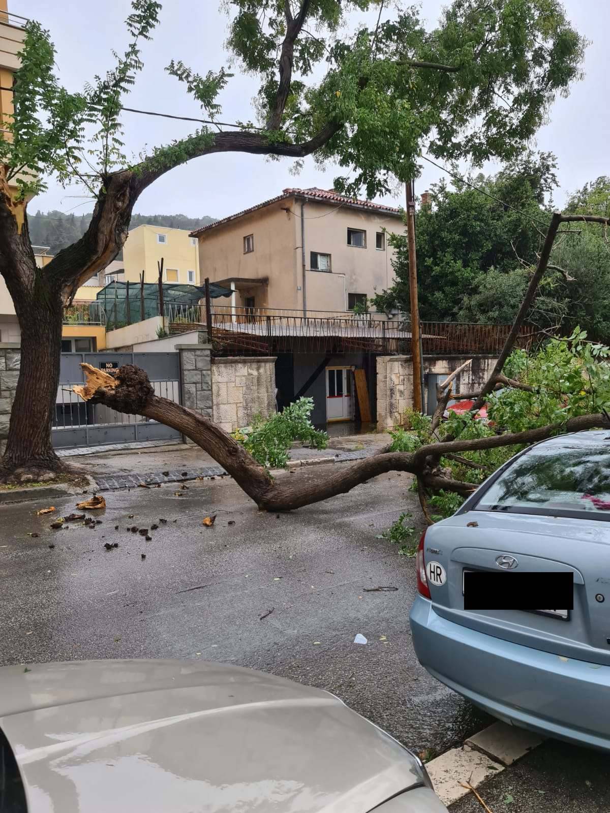 Udari vjetra lomili su grane na Marjanu, dio stabla pao na auto