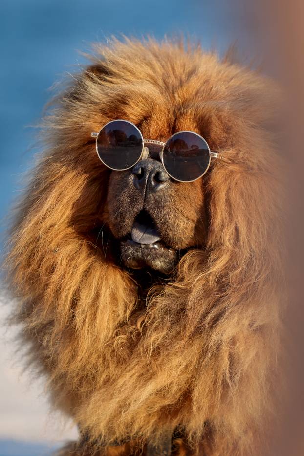 Zadar: Turisti uživaju u šetnji gradom