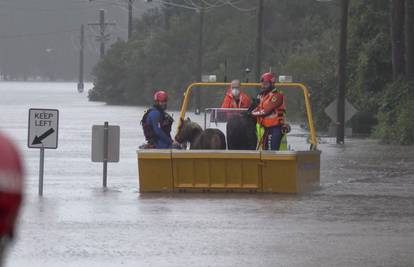 Sydney: Tisuće ljudi evakuirali, očekuju se nove obilne kiše