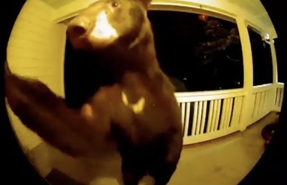VIDEO Medvjed provalio u dvorište pa pozvonio na vrata