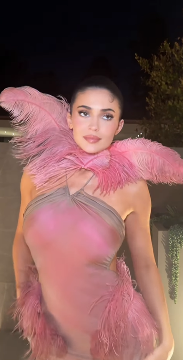 Jestivi grudnjak Kylie Jenner: Bujne obline prekrila je šipkom